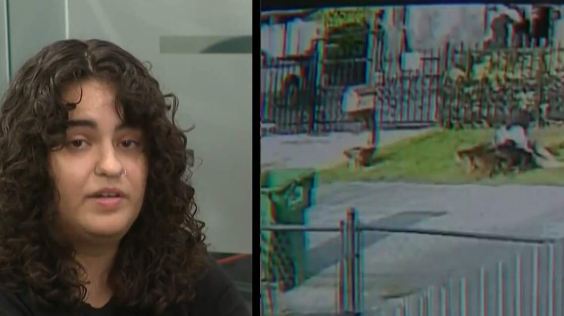 South Florida woman recounts terrifying dog attack as final dog is captured