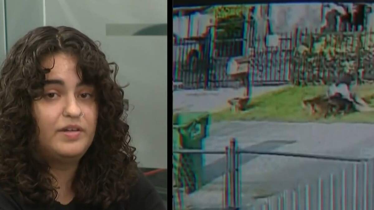 South Florida woman recounts terrifying dog attack as final dog is captured