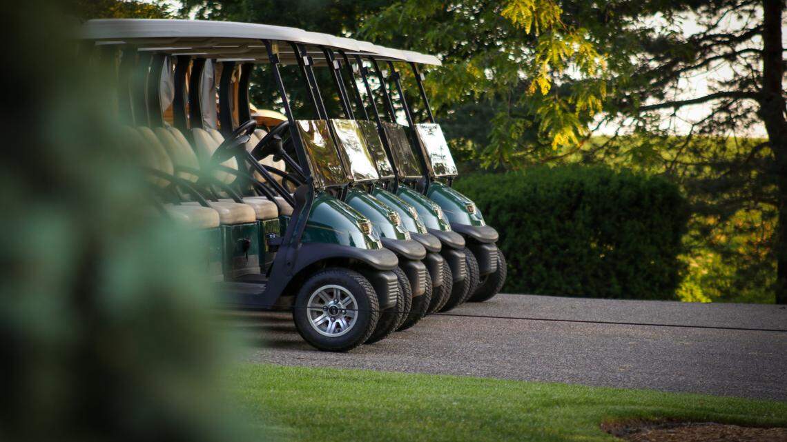 A 4-year-old girl was run over by a golf cart after a dog jumped on the accelerator, Michigan firefighters said.