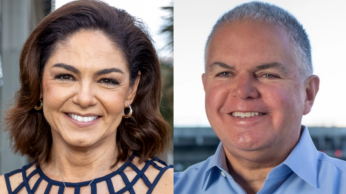 Herald endorsement: Florida House District 113 | Opinion