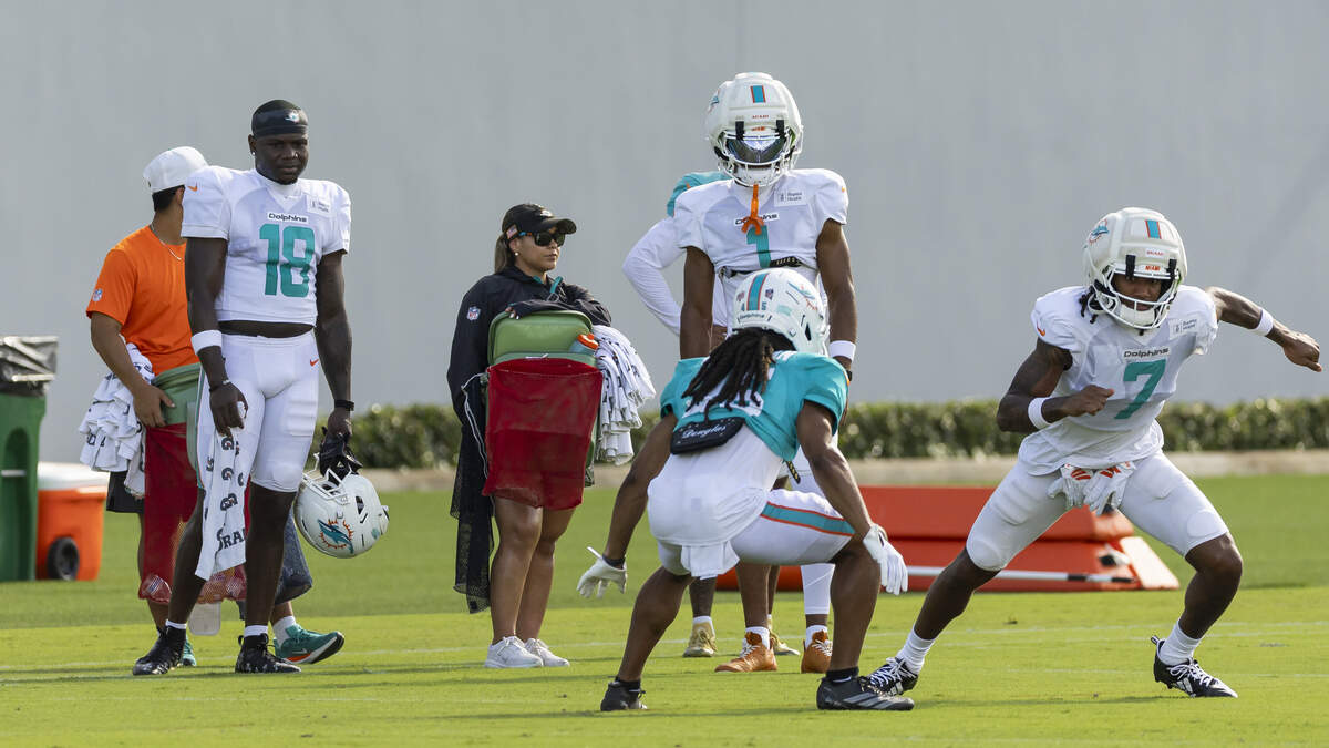 Dolphins rookie receivers get their chance: ‘I don't think there's any ceiling'
