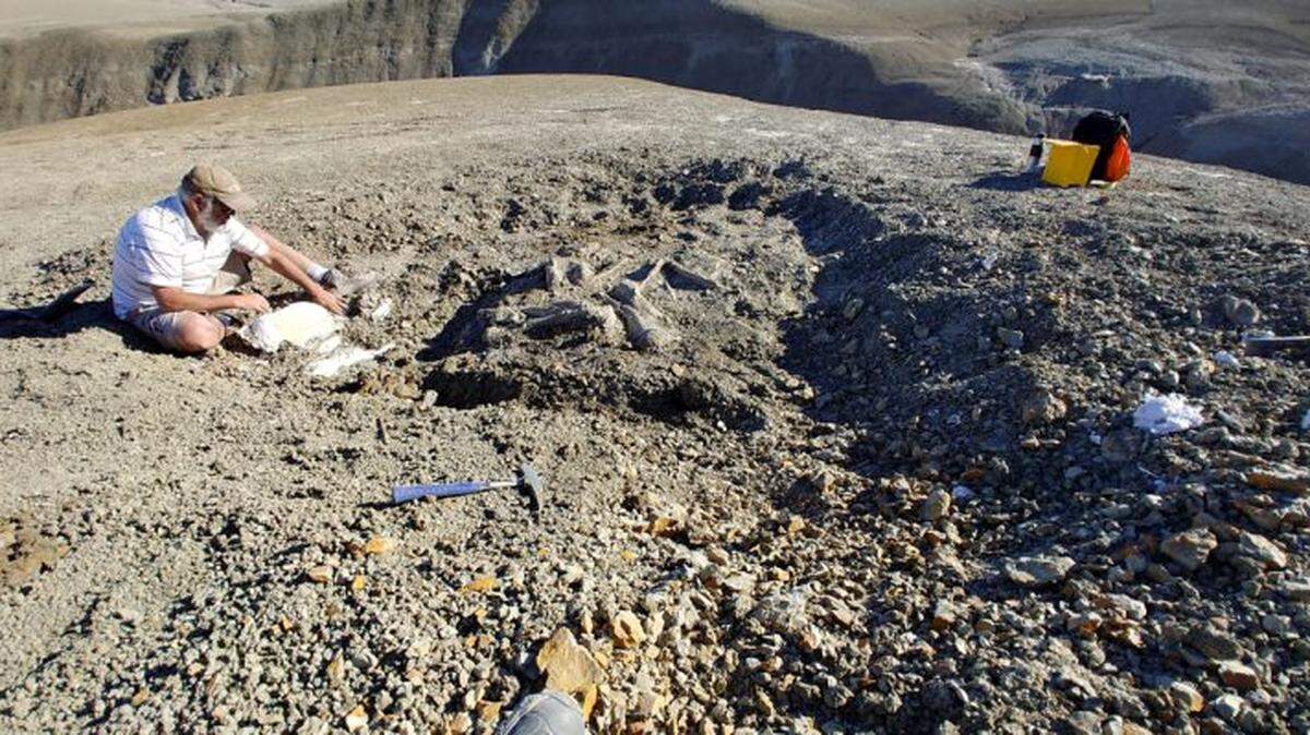 In the Patagonia region of Argentina, paleontologists uncovered the bones of an prehistoric titan.