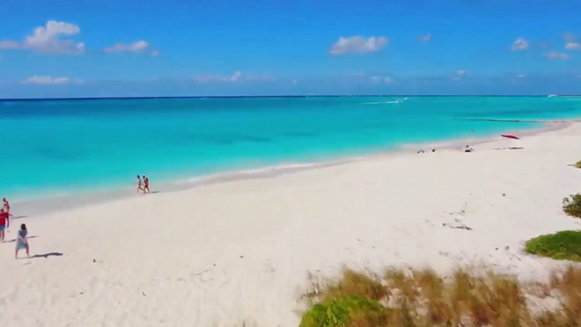 The shark attack happened Feb. 7, off a beach in the Turks and Caicos Islands, 600 miles southeast of Miami, officials said.