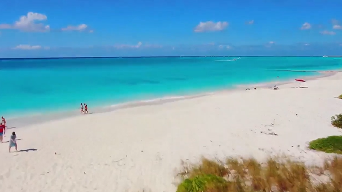 The shark attack happened Feb. 7, off a beach in the Turks and Caicos Islands, 600 miles southeast of Miami, officials said.