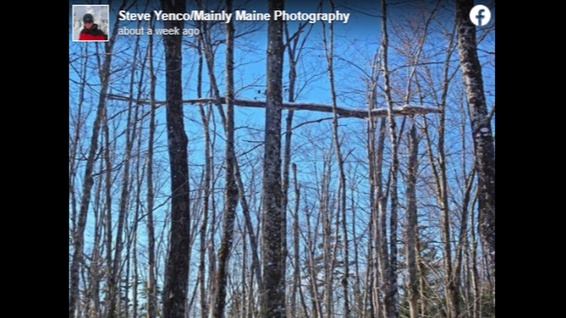 Photographer Steve Yenco was hiking Jan. 15 on Bald Mountain in Maine when he saw this unusual tree formation in the canopy.