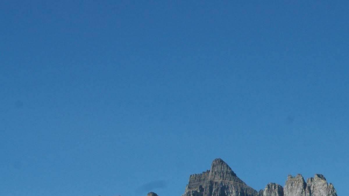 A 33-year-old hiker from Fort Lauderdale was found dead in Glacier National Park after an apparent bear attack, news reports say.