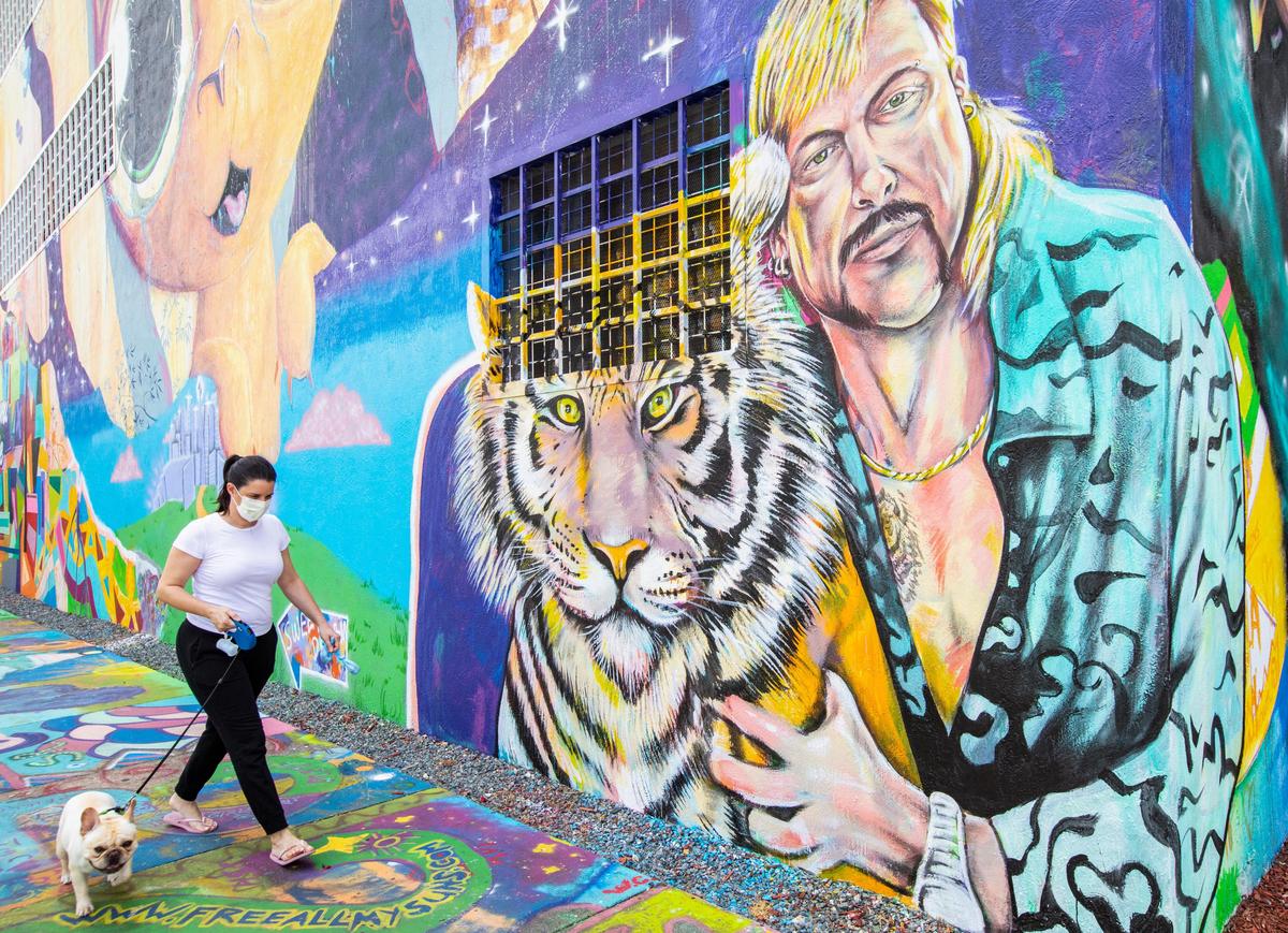 Wynwood resident Sandra Losada, 43, walks her french bulldog Papi past the mural of Joe Exotic, from the now ubiquitous Netflix docu-series called Tiger King, at 500 NW 36th St, on Friday, April 17, 2020.