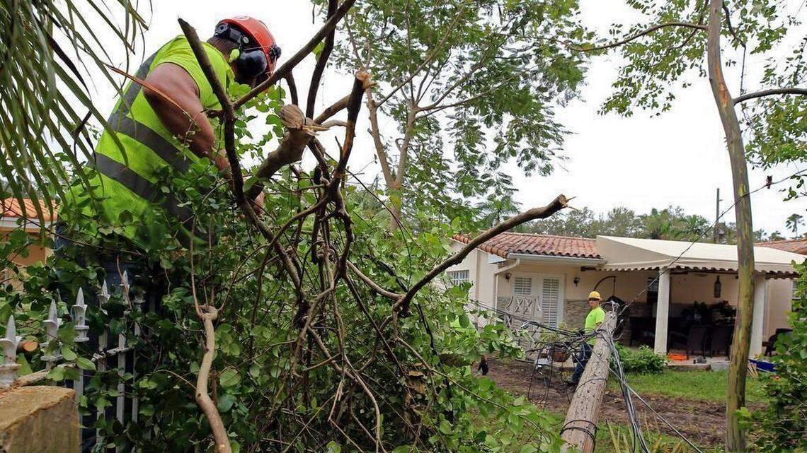 A week after Hurricane Irma, utility workers from out of state work on power lines knocked down by trees and branches in Coral Gables. The city sued FPL over its response to power outages after the storm.