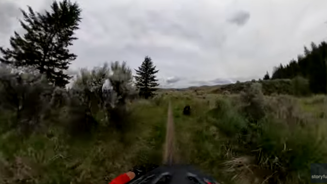 Screengrab of a video that shows a bear about to cross paths with a biker on a trail in Kamloops, British Columbia, on June 7, nearly causing a collision.