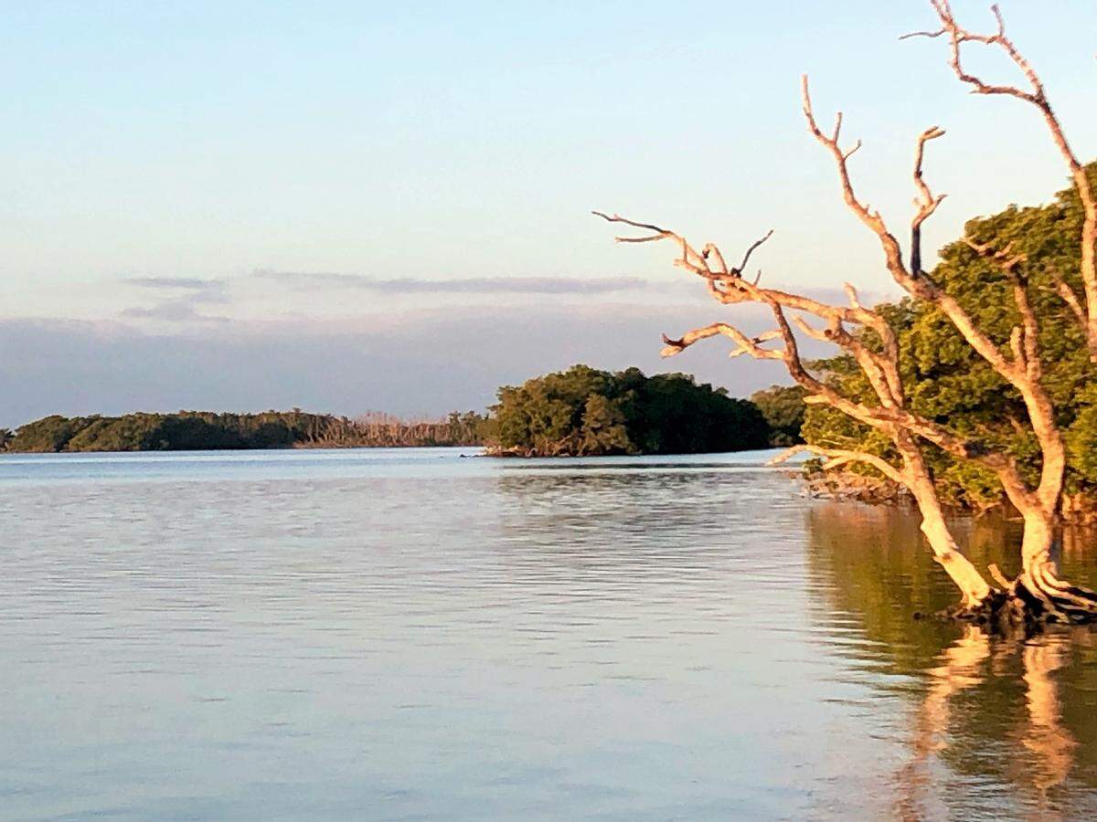 View of Florida Bay in early morning light from the Flamingo Park campground at Everglades National Park on Feb. 13, 2023.