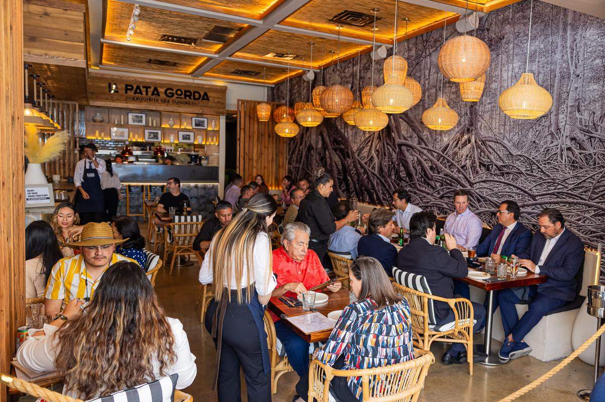 La Pata Gordo in Coral Gables.