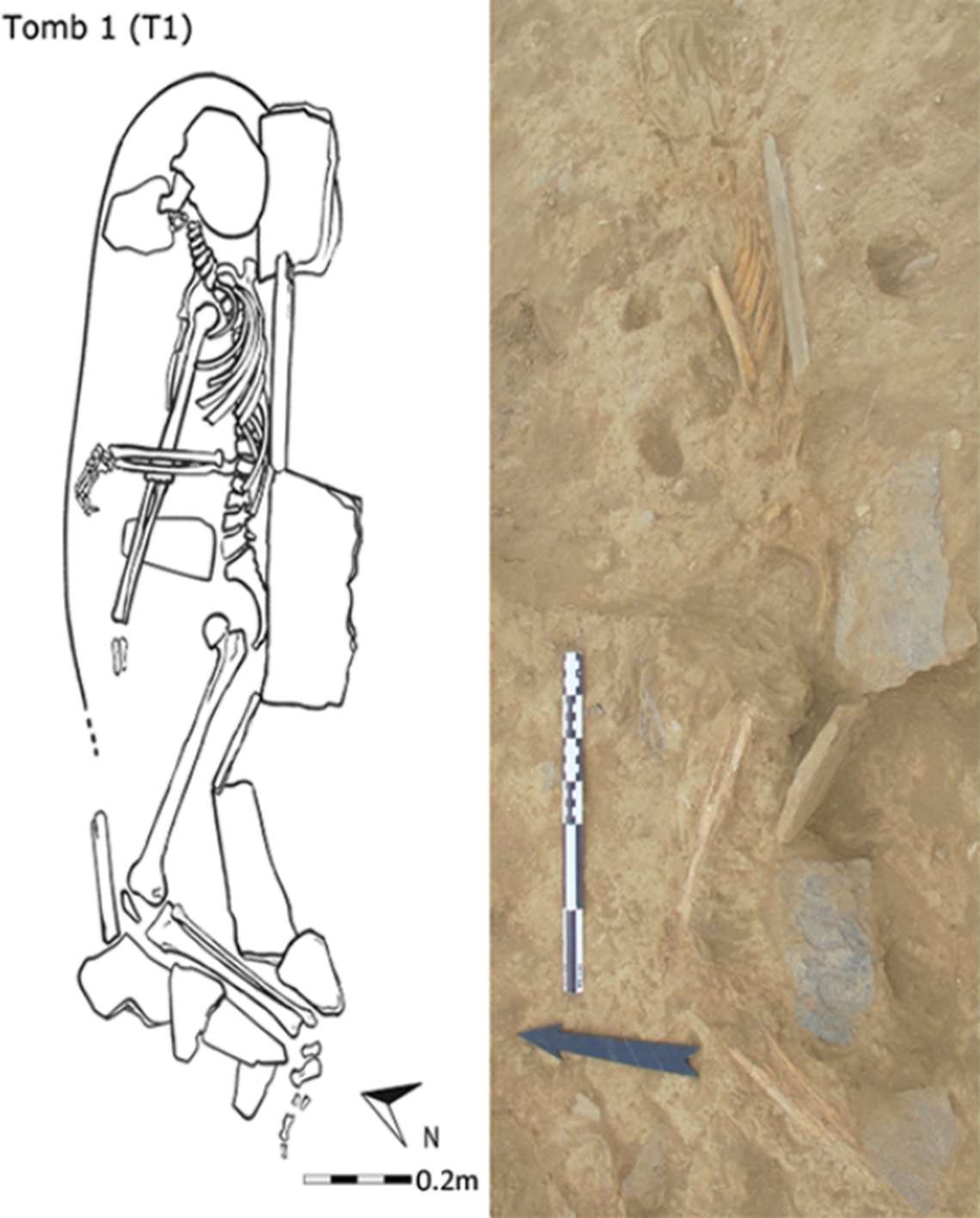 Left: Diagram of the Islamic burial found at the central-eastern church. Right: Photo of the burial.