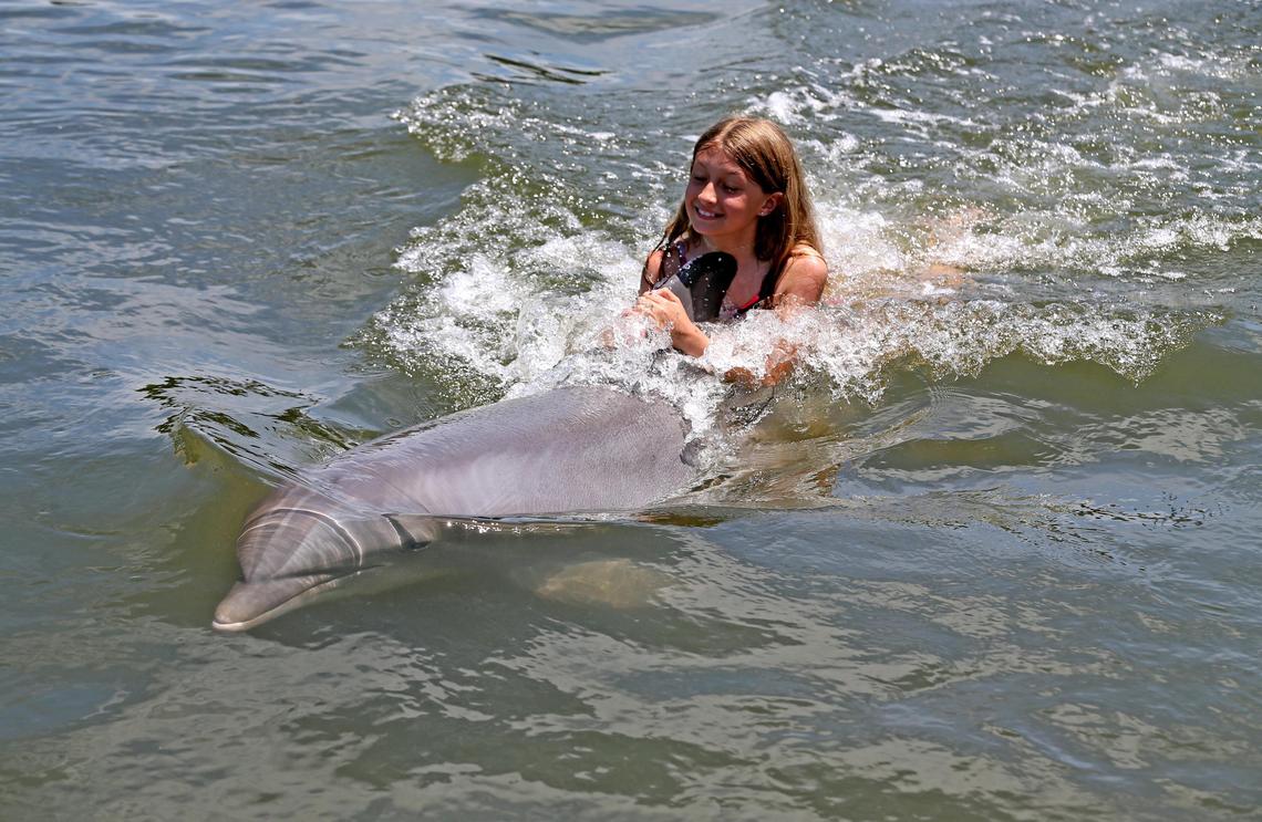 Olivia Jamarowicz, from Delaware, swims with a dolphin at the Dolphins Research Center in Marathon in the Florida Keys, June 1, 2020. The Florida Keys reopened to tourist after being closed because of the coronavirus outbreak.