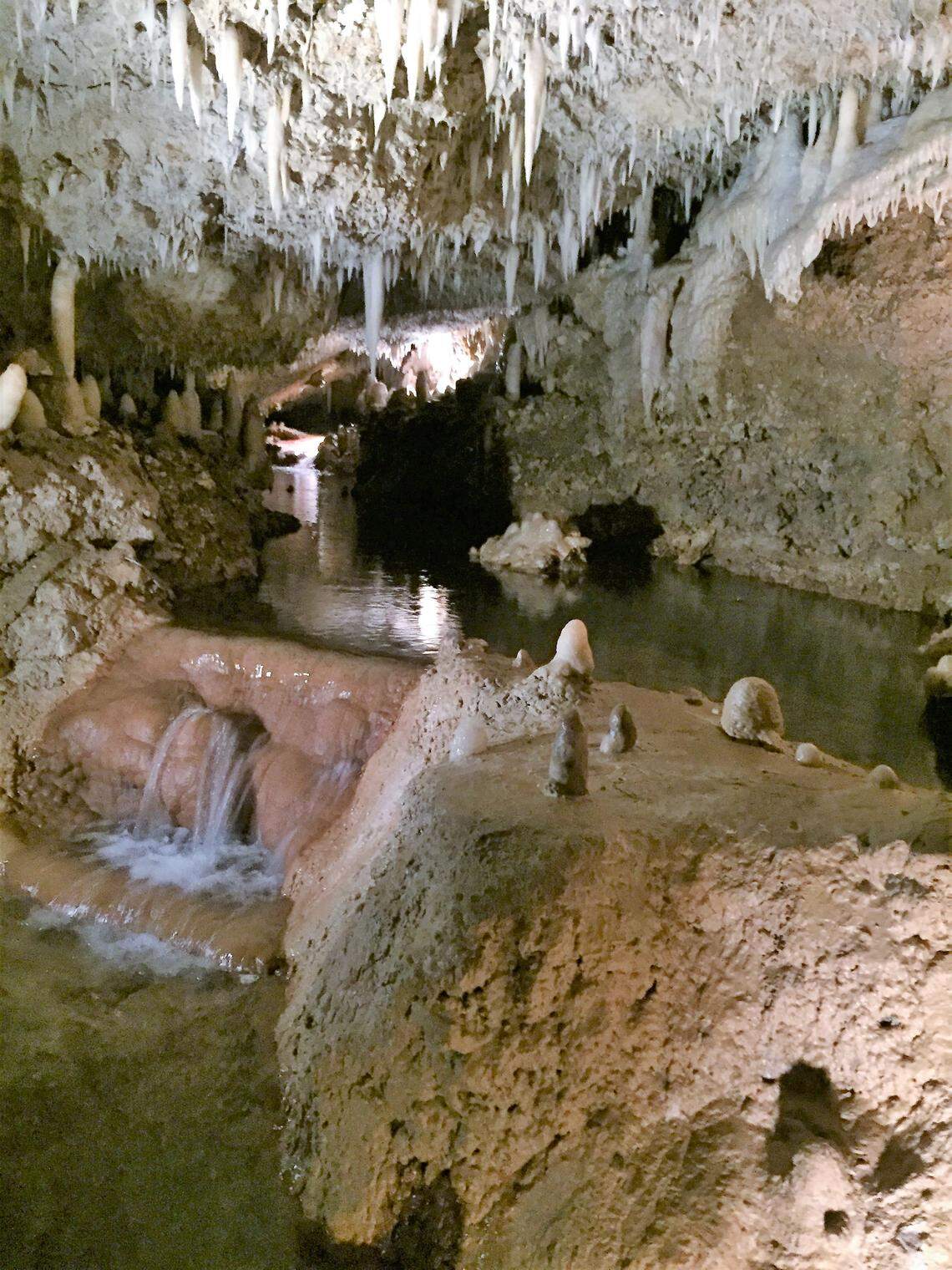 Tram rides in Barbados run through the limestone of Harrison’s Cave.