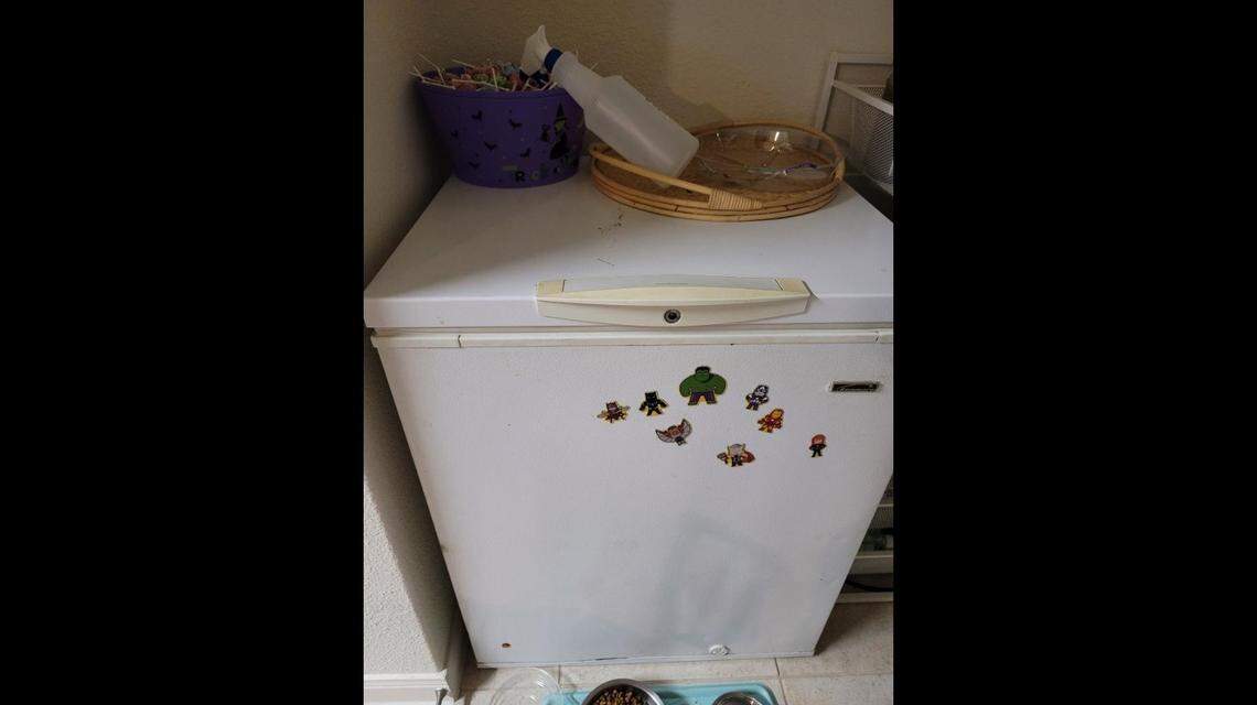 The Khan family of seven says it used this mini-fridge while their furniture was missing for two months.