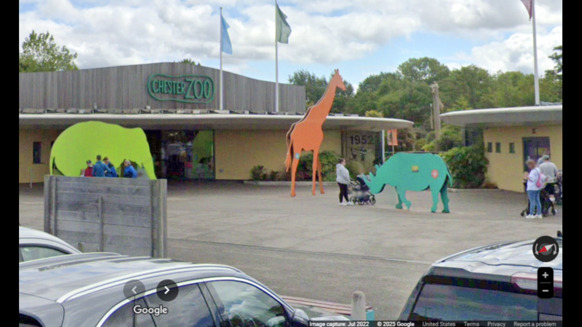 An incredibly rare cub was born at the Chester Zoo in England.