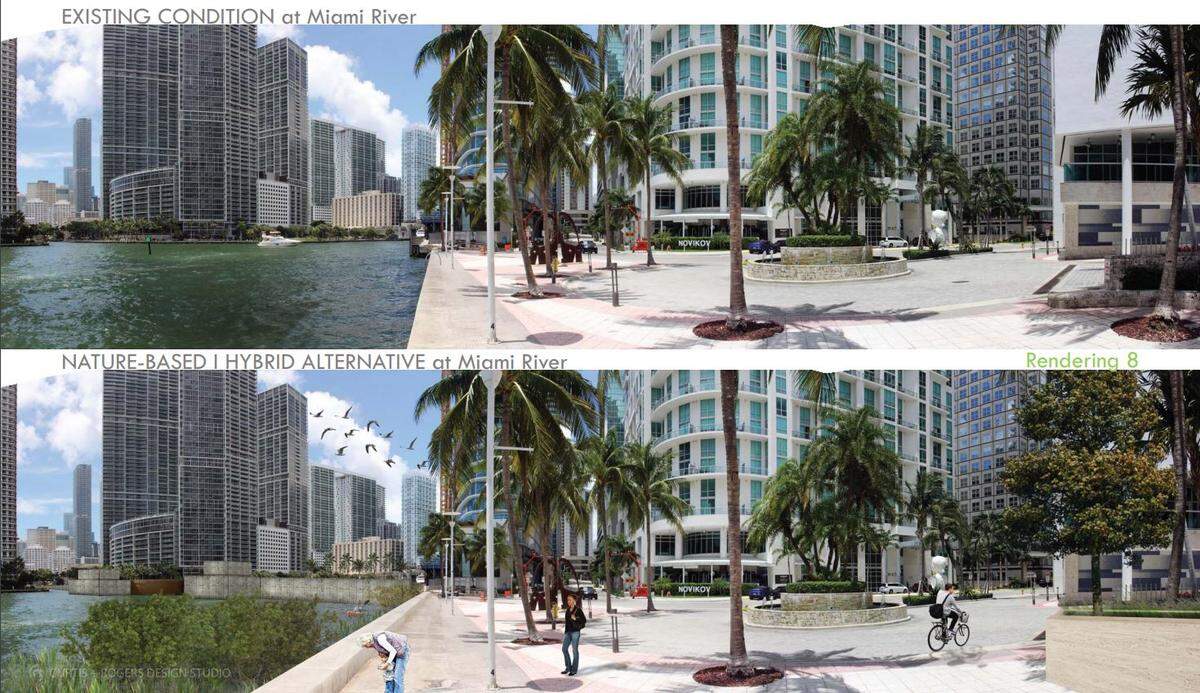 A rendering depicting what the Army Corps of Engineers’ proposed 10-foot high walls designed to protect downtown Miami from storm surge flooding might look like on the Miami River alongside some nature-based solutions like a living shoreline.