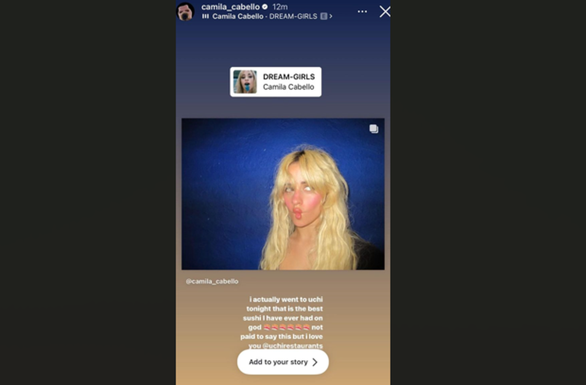 Camila Cabello Instagram screenshot