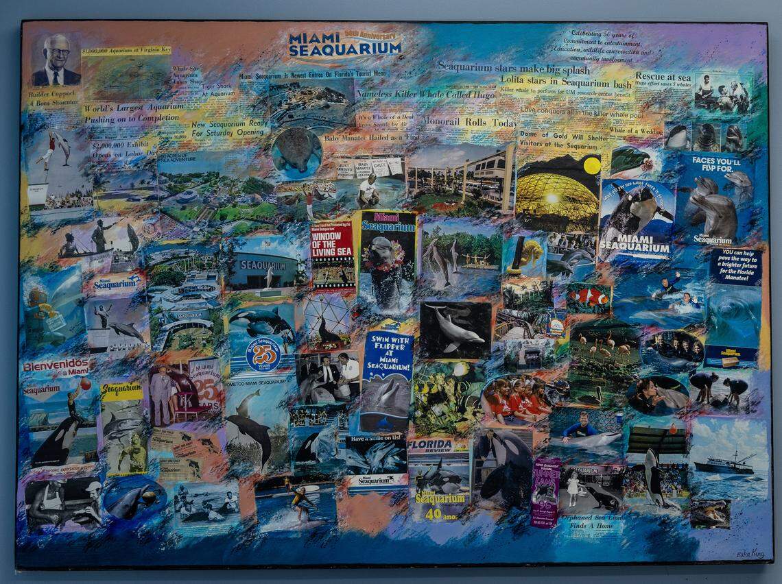 View of collage of images and clips with the history of the Miami Seaquarium, in Virginia Key, that will be closing on Sunday October 12, after 70 years in business, almost a year after the seaquarium filed for bankruptcy and is planning to sell the lease on its public waterfront property for $22.5 million to developer David Martin and a subsidiary of his development company, Terra, on Friday October, 10 2025.