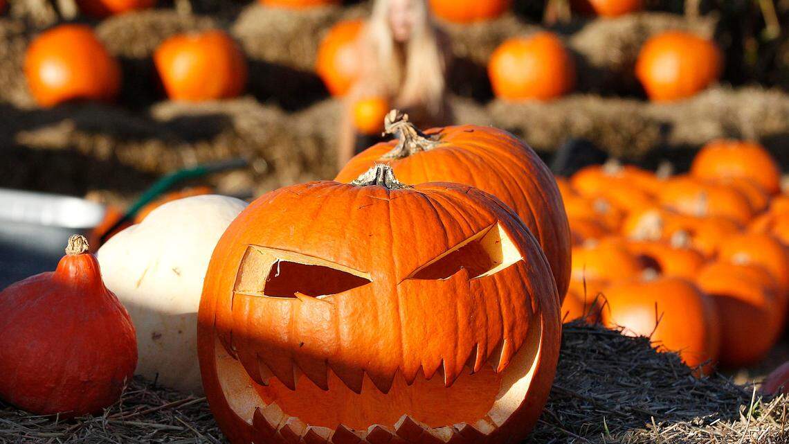 Frightening and fun-filled ways to celebrate Halloween in the Lowcountry this year