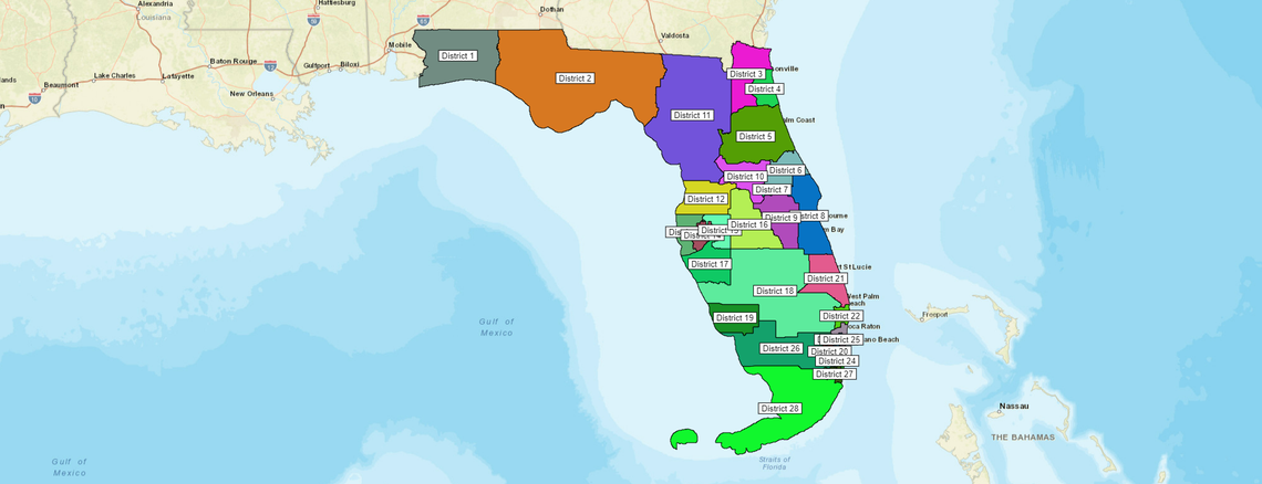 This is the map submitted by Gov. Ron DeSantis’ general counsel, Ryan Newman, on Sunday, Jan. 16, 2022.