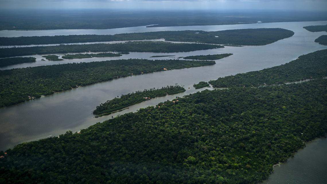 amazon rainforest aerial