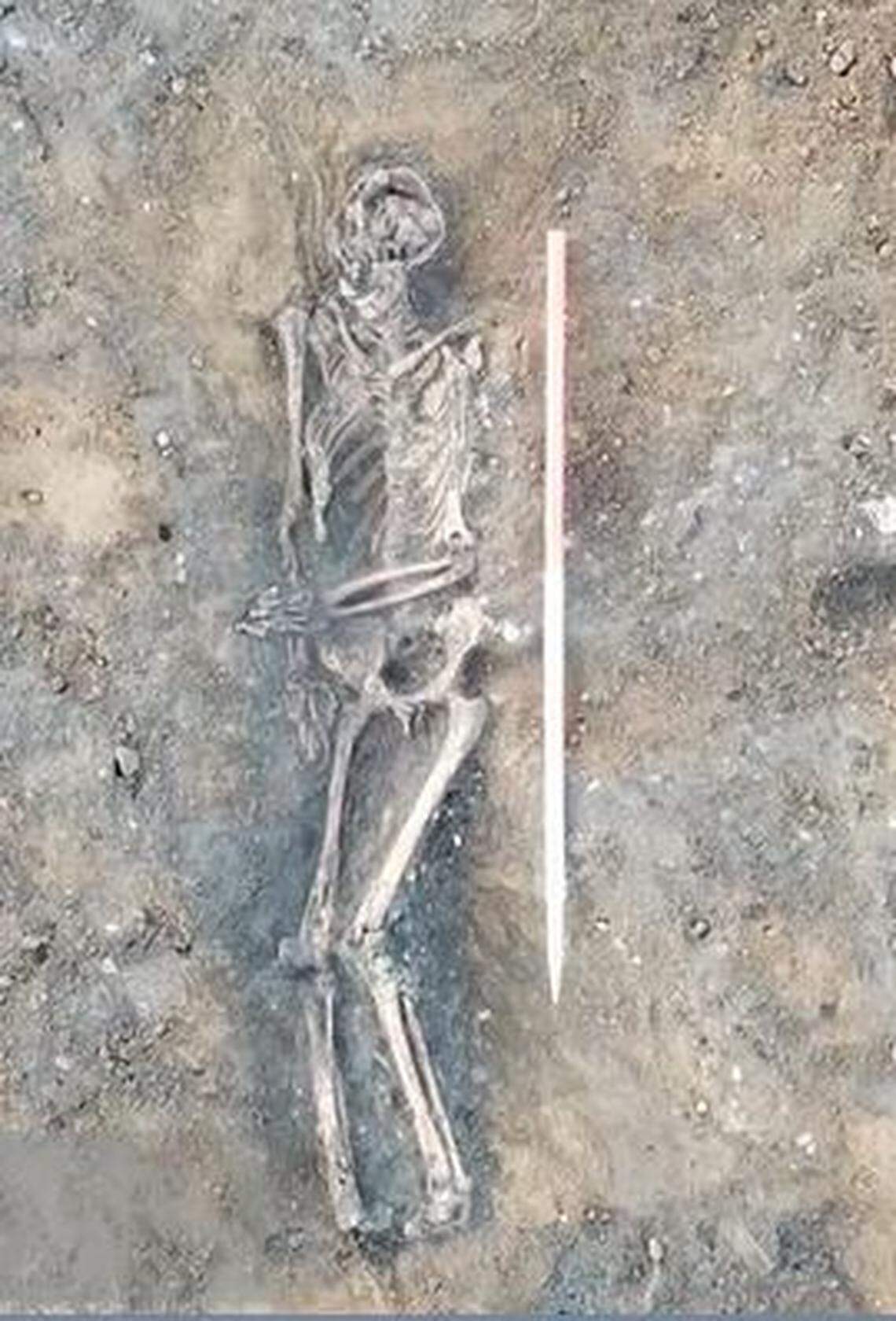The skeletons are the only physical evidence discovered from the medieval abbey, according to experts.