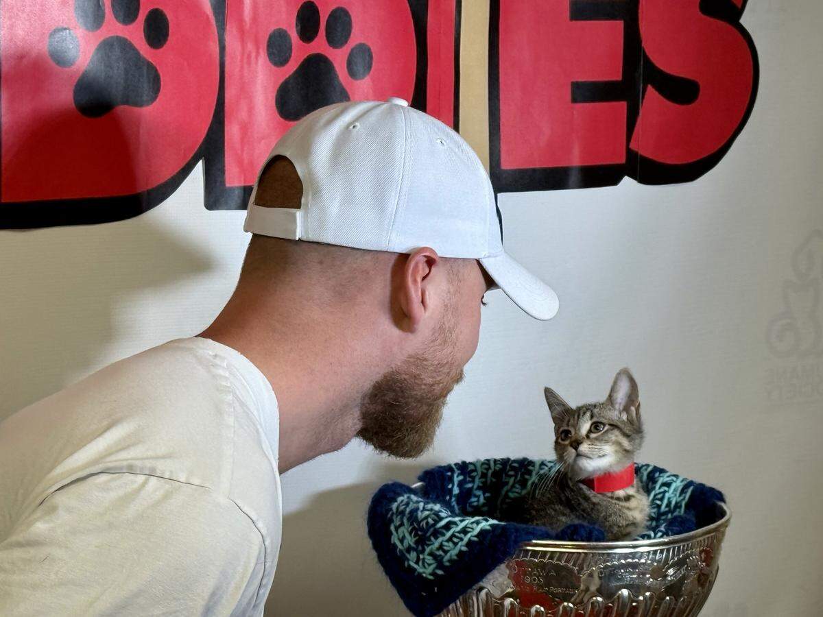 Florida Panthers forward Sam Bennett looks at Lisa, a 10-week-old kitten sitting inside the Stanley Cup, at the Humane Society of Broward County on Wednesday, Sept. 10, 2025. Bennett paid the adoption fees for 41 pets at the humane society, one for every goal he scored in the 2024-25 season.