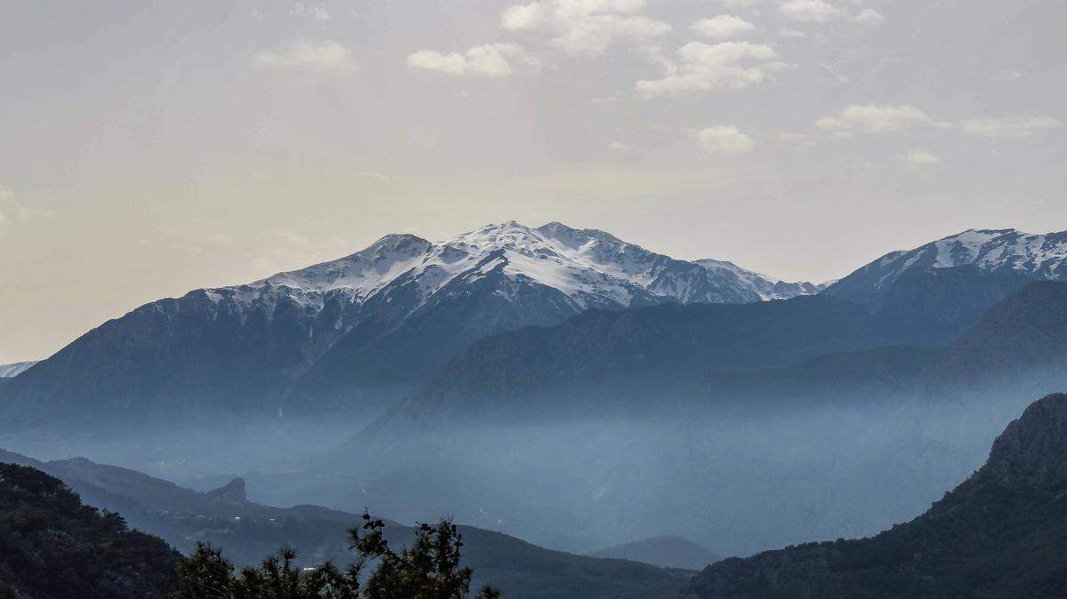 Two new species of moles were recently discovered living in the mountains of eastern Turkey, according to a new study. They may have been living there for 3 million years.