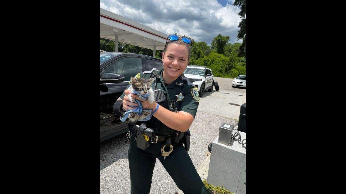 An Hernando County Sheriff’s Office deputy rescued two cats from a car’s engine while she was also changing a tire, officials say.