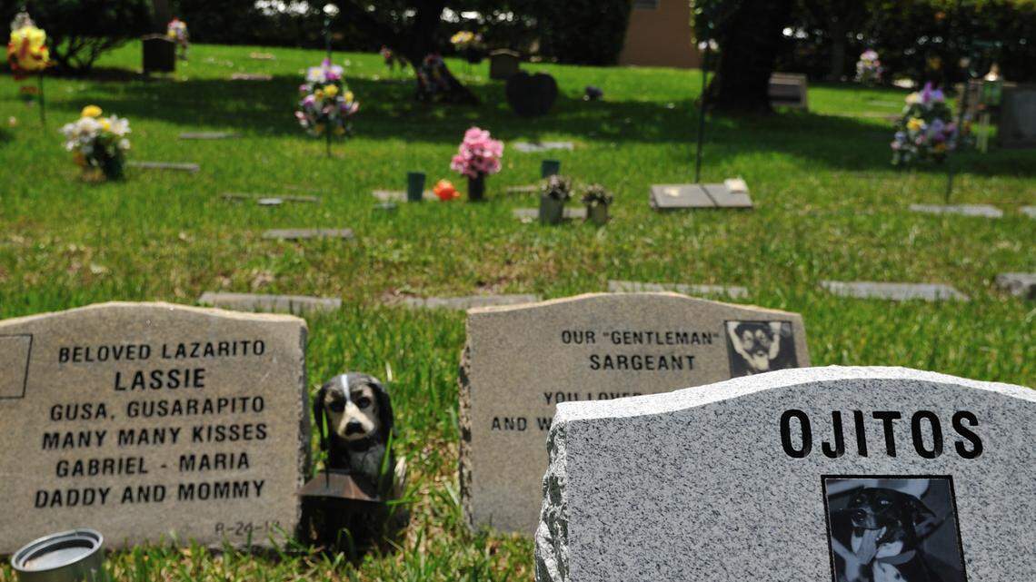 Can you bury the dead in your backyard? What Florida law says about pets. Humans, too