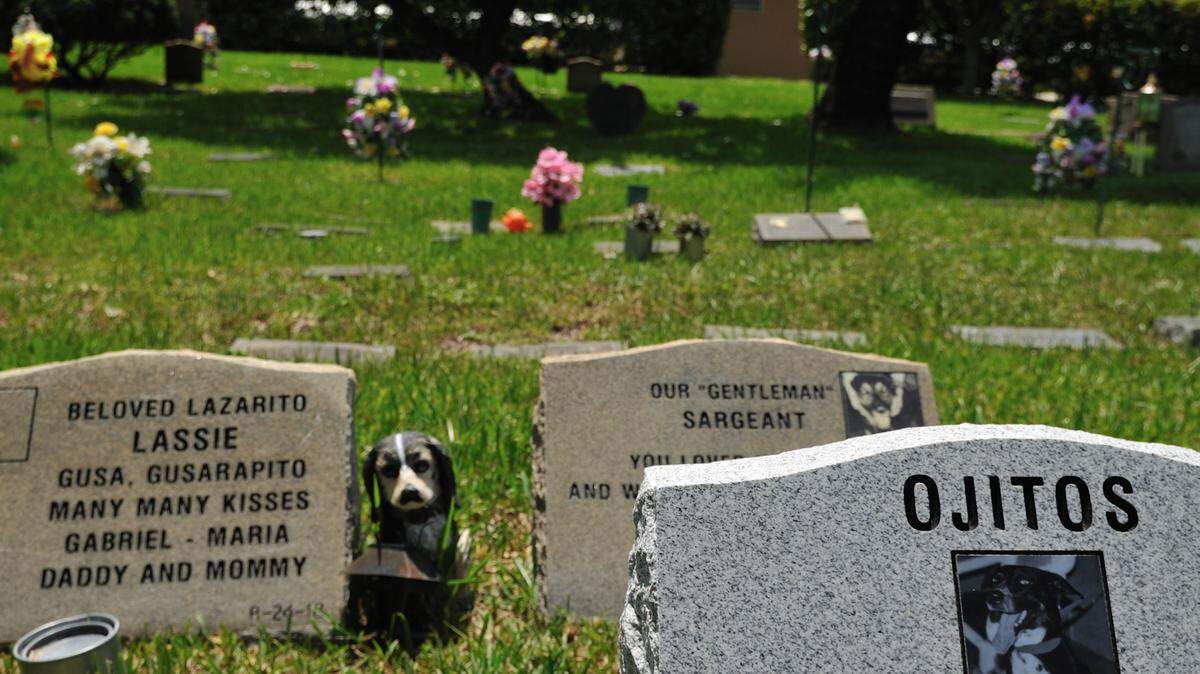 Pet Heaven Memorial Park in Sweetwater in 2010.