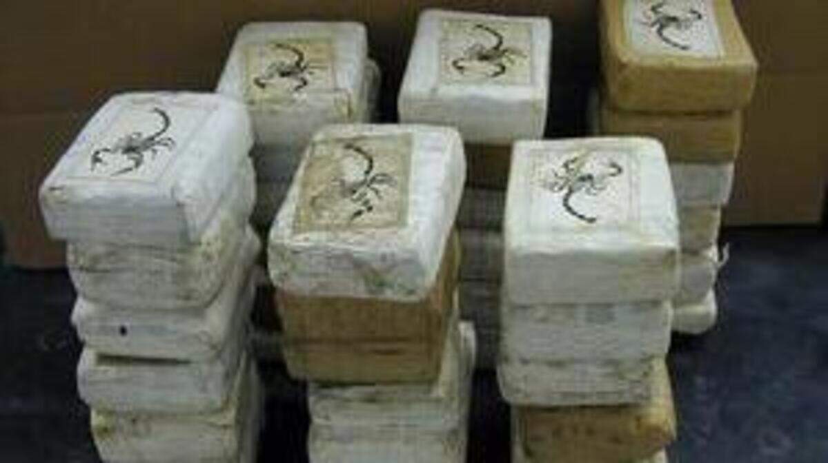 Seized bricks of cocaine.