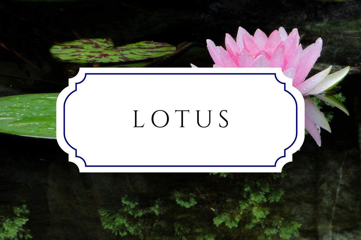 botanical baby names lotus