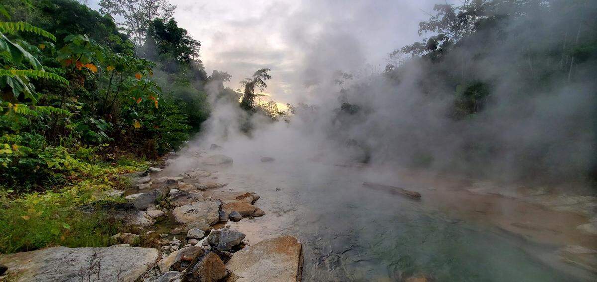 Ken Feeley collected data with his graduate students on the responses of plants to elevated temperatures around the Boiling River, Peru.