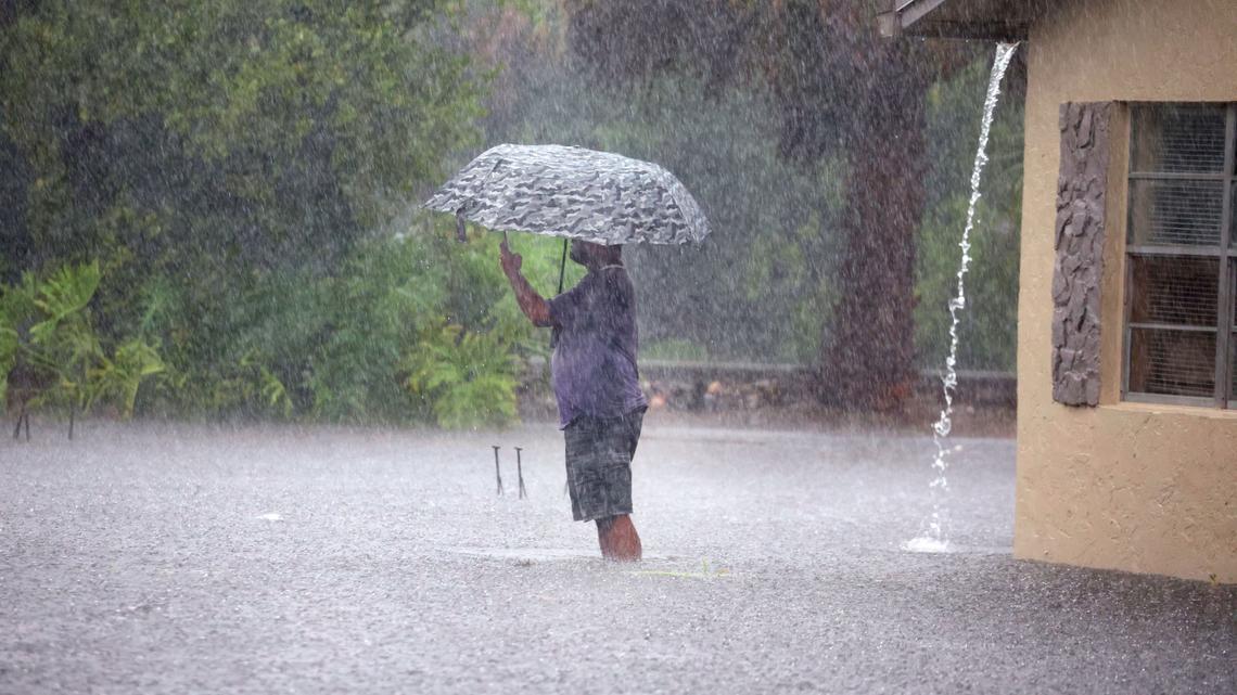 Unprecedented floods hit South Florida this week. Soon, the mold may come