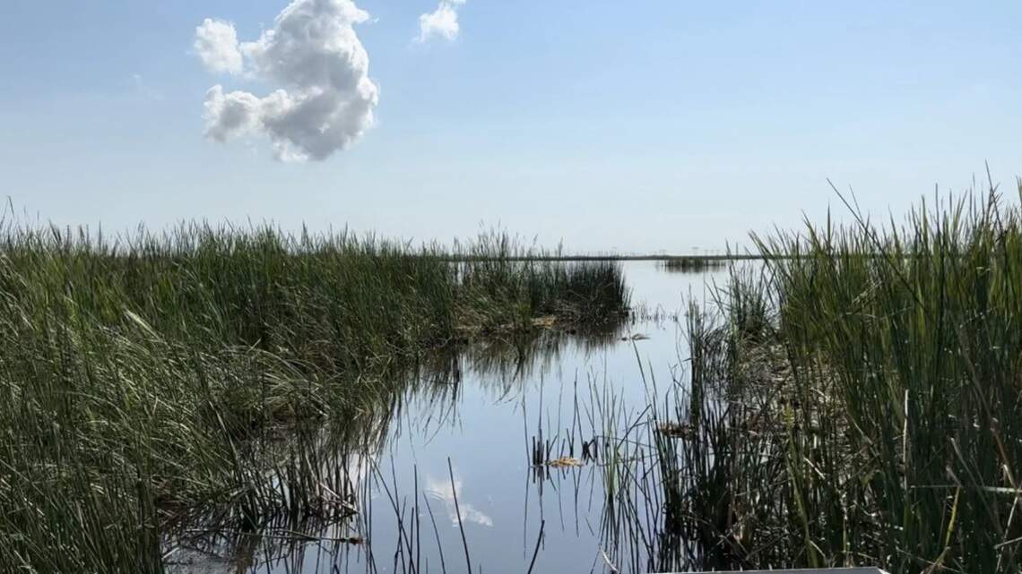 Miami-Dade’s land-conservation program is facing a crippling budget cut