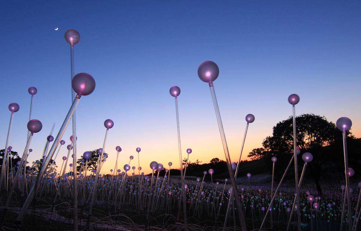 “Sensorio” by Bruce Munro from 2019 is an example of the artist’s installation work.