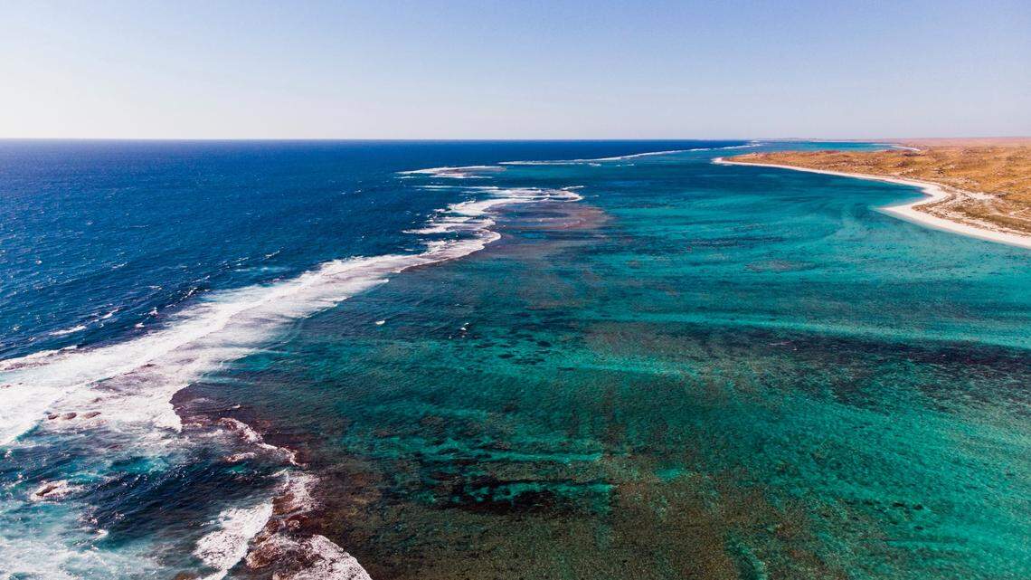 Brooke Pyke captured the rare creature swimming along the Ningaloo Reef in Western Australia.