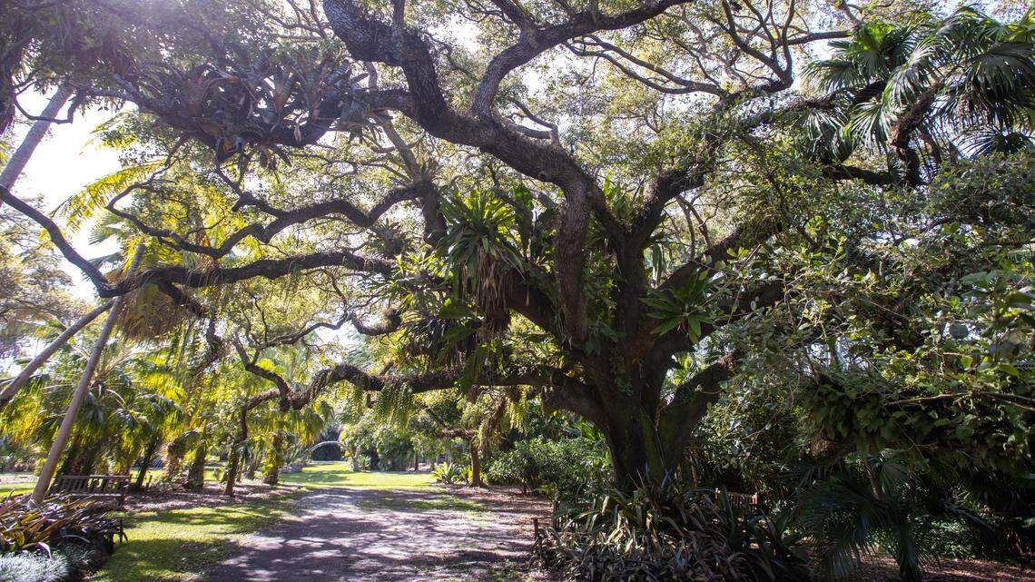 Fairchild Tropical Botanic Garden has a list of new rules to protect guests.