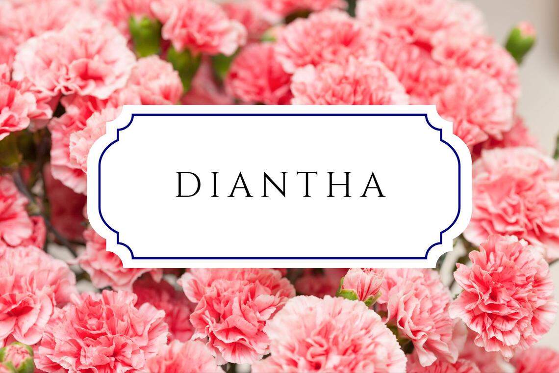 baby names that mean gift diantha