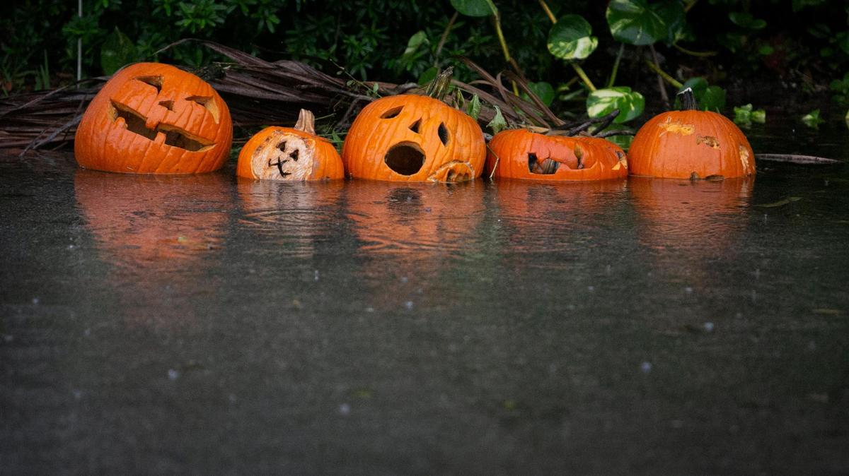 Discarded jack o’lanterns sink into the water of a flooded street in the Miami Shores Estates area following heavy rains and King Tide, Friday morning, November 5, 2021. Miami Shores Village had sent a Tweet out Thursday cautioning those driving in the area that flooding may occur due to King Tides November 3 through November 9th. Miami Shores Public Works employees were in the area clearing drains and pumping water from the streets.
