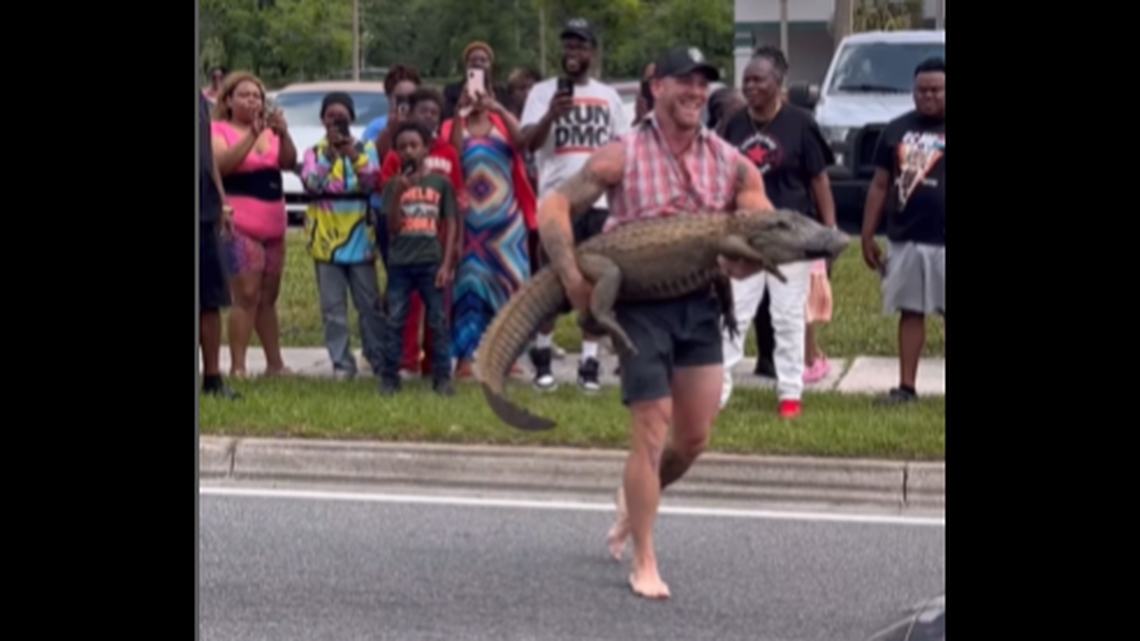 Mike Dragich is a licensed alligator trapper, and he was summoned by the Florida Fish and Wildlife Conservation Commission after a gator showed up at a strip mall in Jacksonville, Florida.
