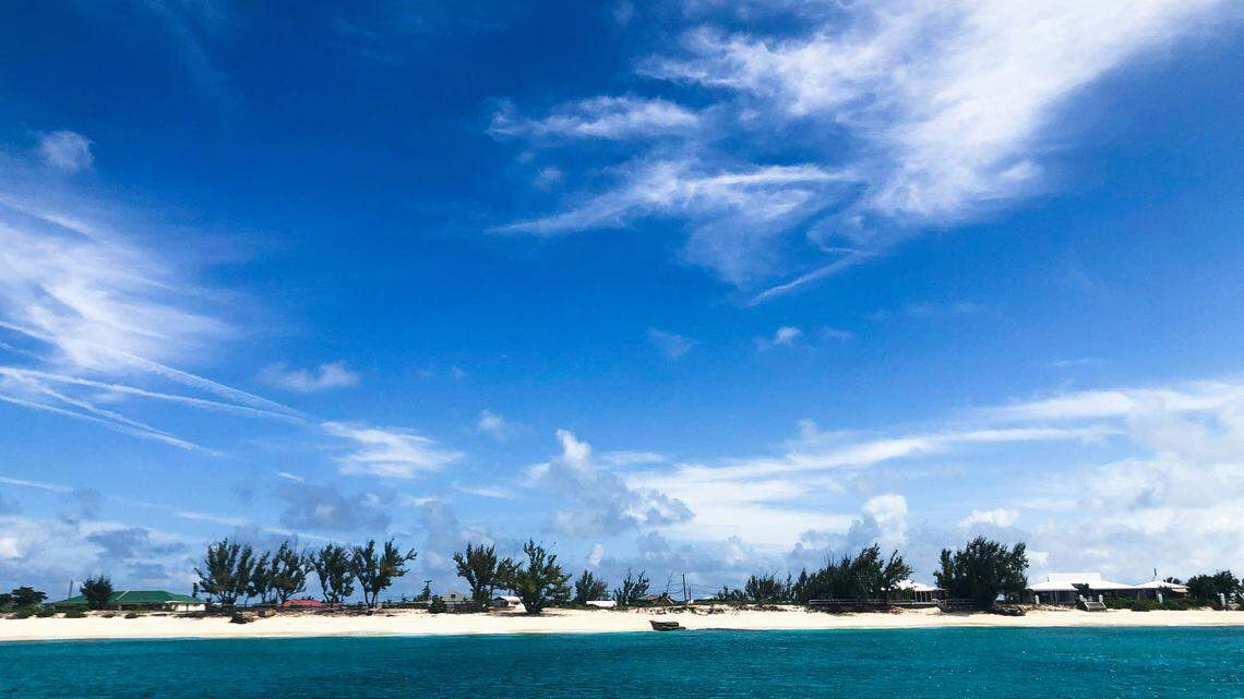 A mama humpback whale and her baby were spotted in Turks and Caicos, a video shows.