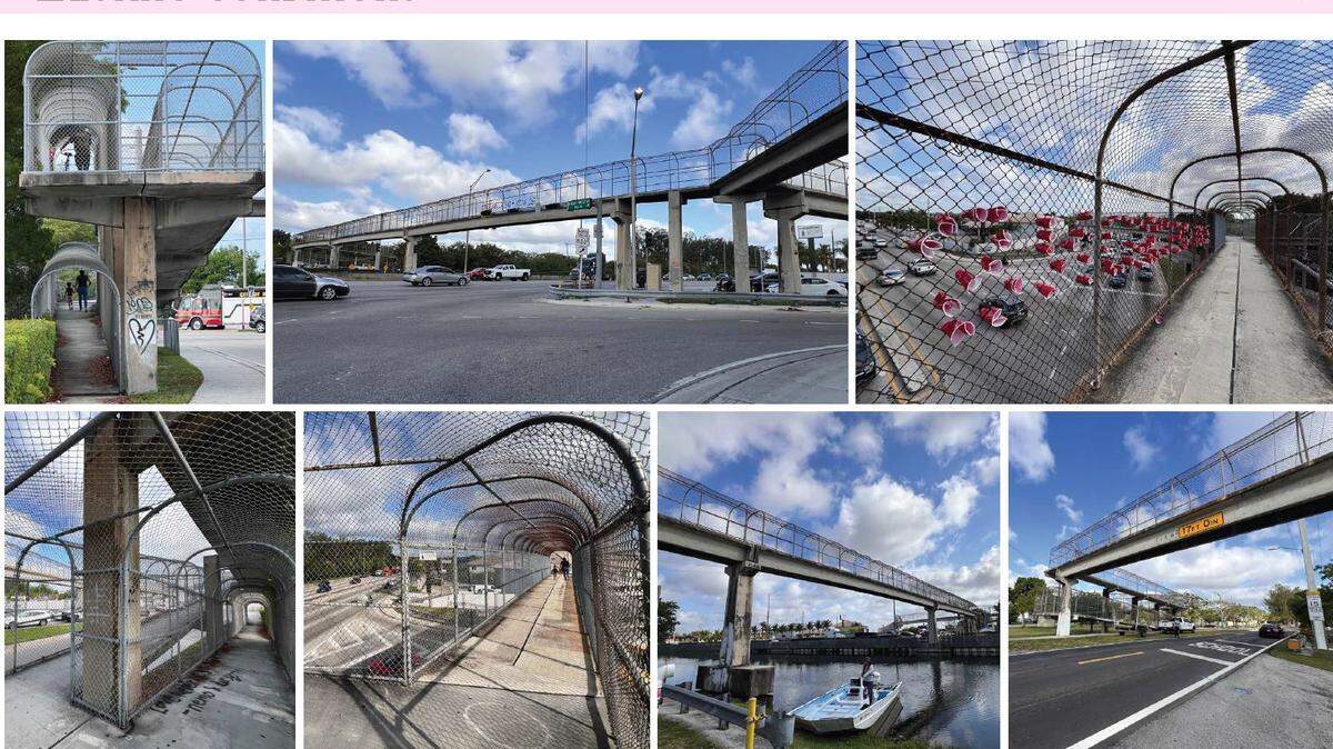 The city of Hialeah wants to clean up the pedestrian bridge that crosses over U.S. 27 at Red Road, or Okeechobee Road and West Fourth Avenue. A proposal calls for painting flamingos atop the columns and planting ground cover.