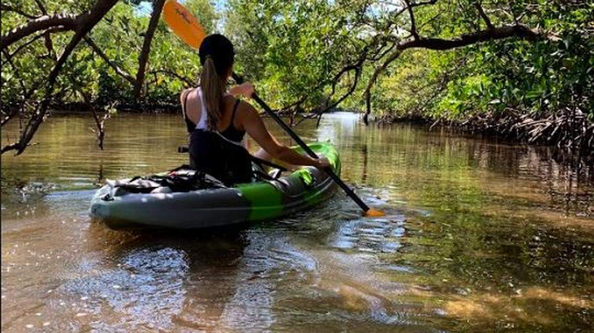 The DeSantis administration has proposed building pickleball courts, golf courses and a 350-room hotel in state parks across Florida.