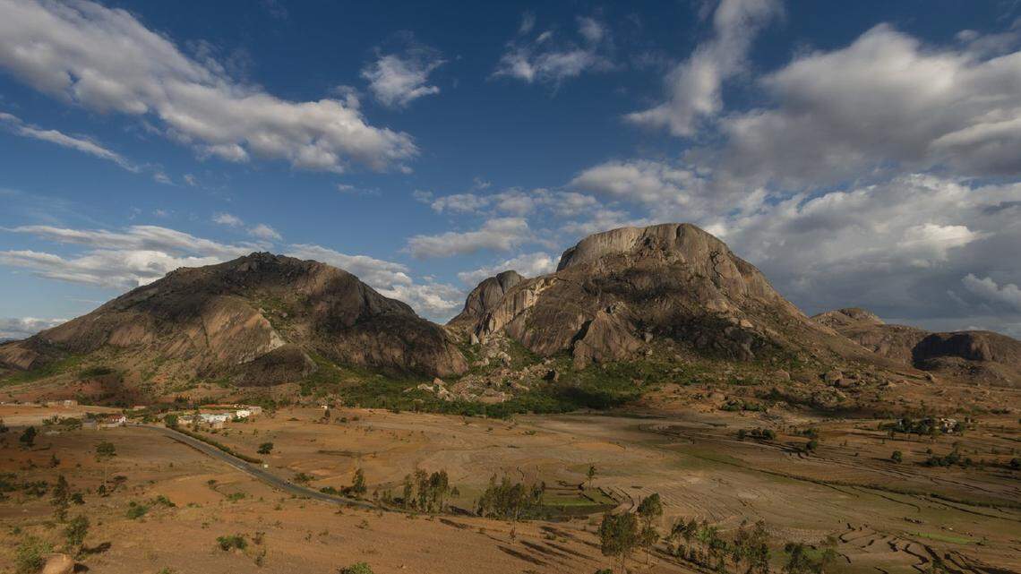 The new species of gecko was discovered in Madagascar at both the Anja Reserve and in the Tsaranoro Valley forest, a new study said.
