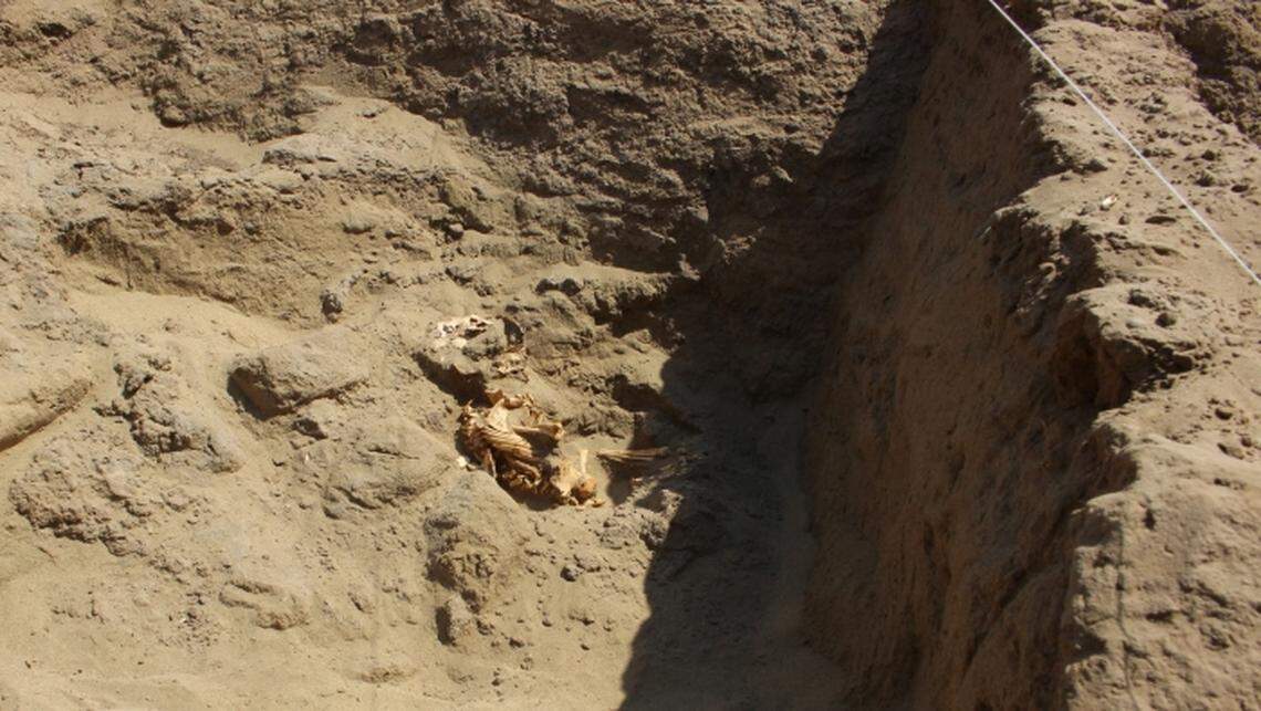 The burial of a 5- or 6-year-old child was also found at the second site.