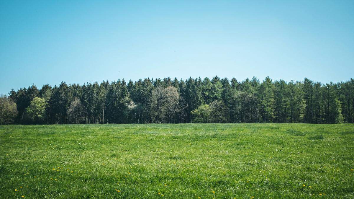 Two metal detectorists searching a field in Denmark stumbled on a bronze portraits of one of history’s most notorious rulers.