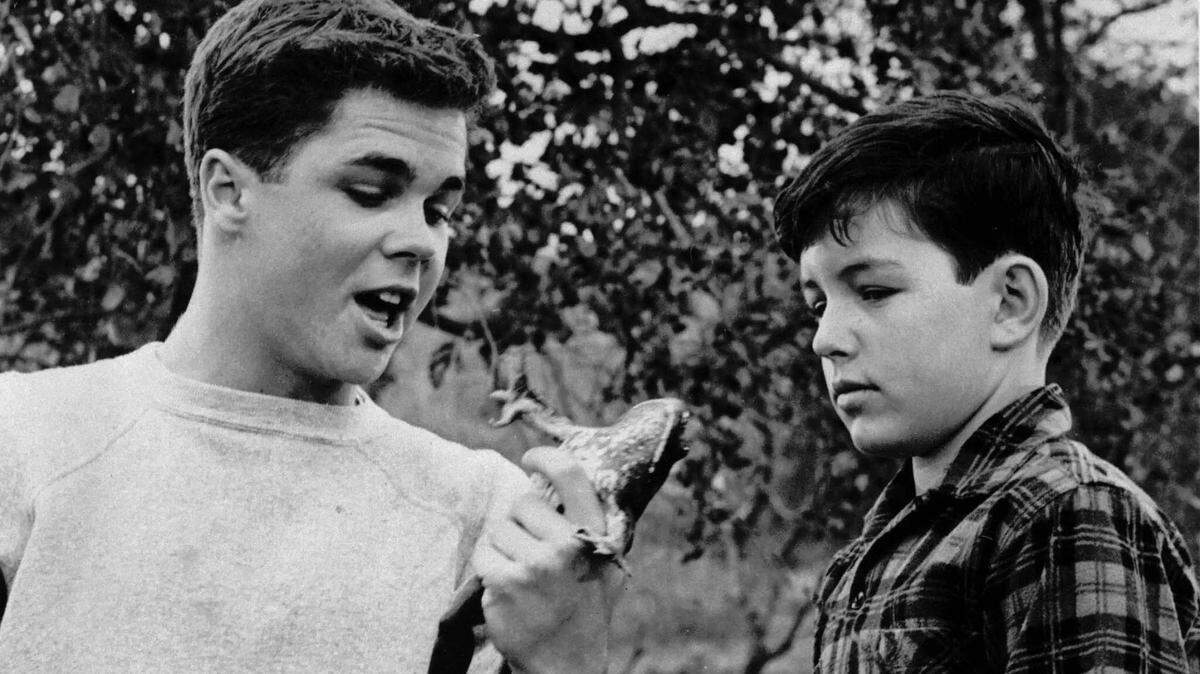 Tony Dow, who played the big brother in ‘Leave It to Beaver,” died Wednesday at 77.
